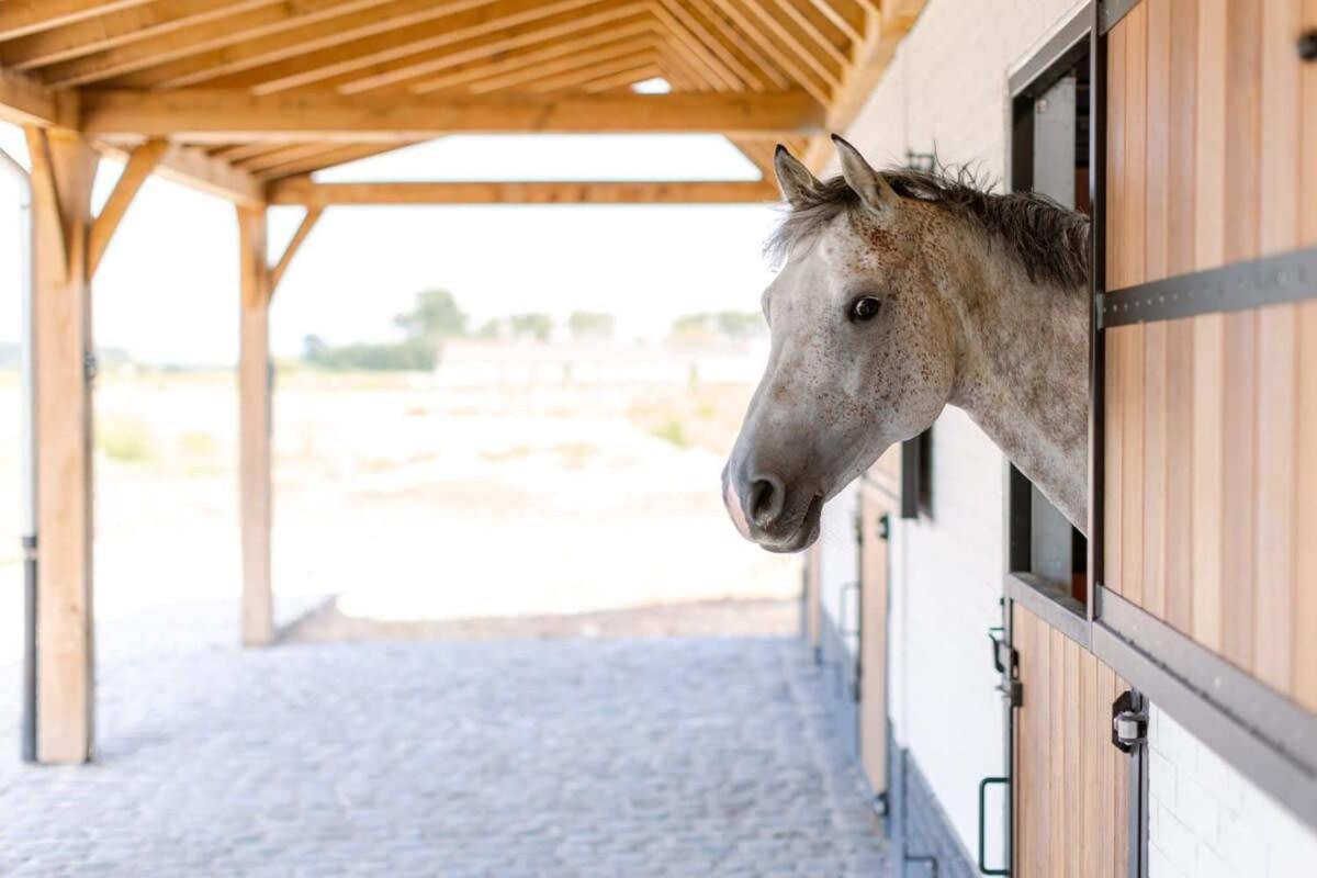 Huswell - Nadia - Family Room At Ranch "De Blauwe Zaal" บรูจส์ ภายนอก รูปภาพ